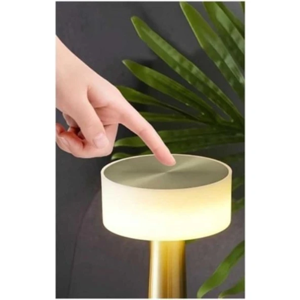 Çok Renkli Dokunmatik Şarjlı Masa Lambası CT-8436 - Resim 2