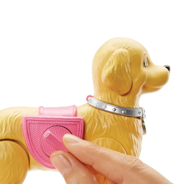 Barbie ve Tuvalet Eğitimindeki Köpeği DWJ68 - Resim 5