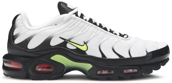 Nike Air Max Plus Retro Future ürün görseli 1