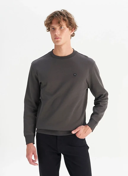 Wrangler Erkek Sweatshirt W252025533W ürün görseli 1