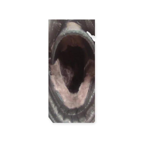 JAMES FRANCO M1036  KÜRKLÜ KAUÇUK TABAN DERİ ERKEK BOT - Resim 8