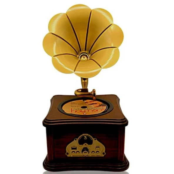 Nostaljik Radyo Gramofon Tasarımlı USB Bluetooth Hoparlör FM Radyo Şarjlı - Resim 5