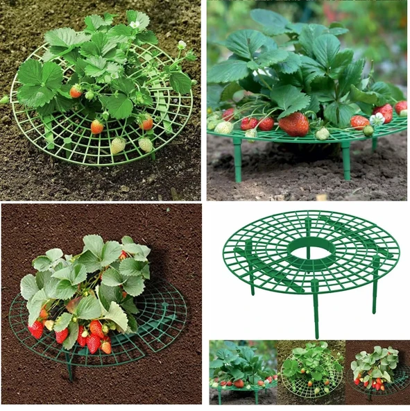 YATE10 2 Adet Plastik Çilek Geliştirme Standı - Resim 3