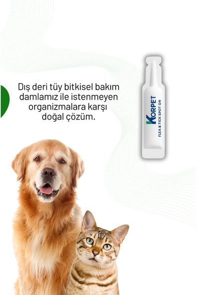 KorPet Kedi Köpek İç Dış Bitkisel Bakım Tablet damla + Hap yutturma aparatı Hediyeli FULL SET - Resim 4