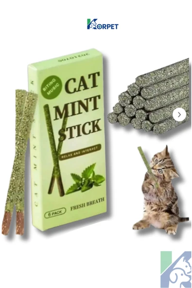 KorPet Doğal Matatabi Çubuğu Catnip Cat Mint Stick Kedi Catnip Dalı Kedi Diş Kaşıyıcı Ve Temizleyici ürün görseli 1