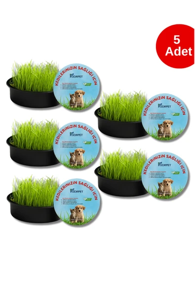 KorPet Organik Kedi Çimi Seti 5li Sürpriz Mama Ödülü Hediyeli (FİLELİ) ürün görseli 1