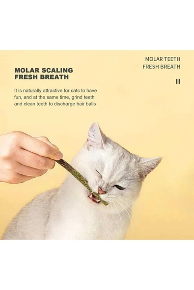 Dalian Home 6 Adet Doğal Matatabi Çubuğu Catnip Kedi Catnip Dalı Cat Mint Stick Kedi Oyun Çıtası - Resim 5