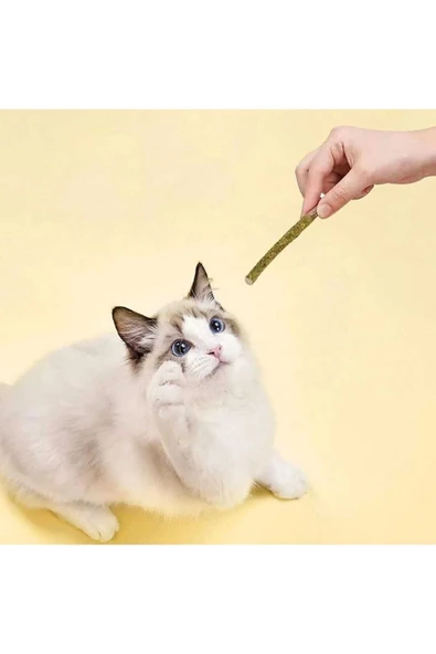 Dalian Home 6 Adet Doğal Matatabi Çubuğu Catnip Kedi Catnip Dalı Cat Mint Stick Kedi Oyun Çıtası - Resim 4