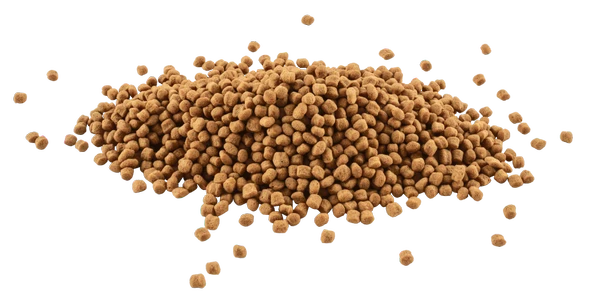 Tetra Goldfish Energy Japon Balığı Yemi 100ml - Yüksek Enerji ve Renk Destekli - Resim 3