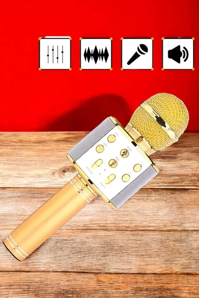 Şarjlı ve Uzun Pil Ömürlü Karaoke Mikrofon USB Bellek Destekli, Profesyonel Ses - Resim 3
