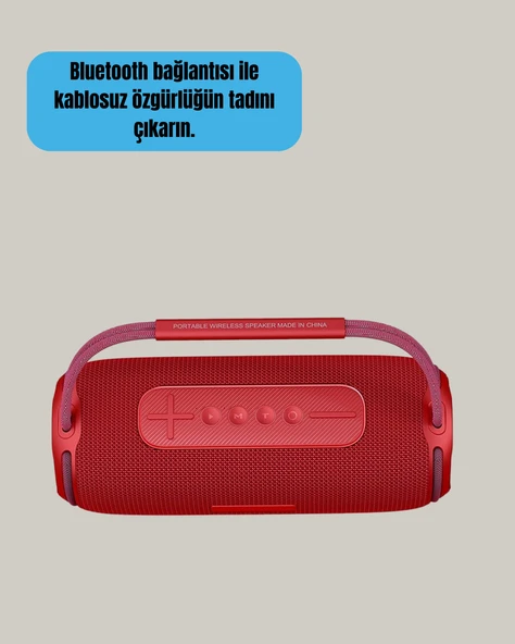 Suya Dayanıklı 20W RGB Hoparlör Bluetooth, USB, SD Kart ve AUX Girişli - Resim 2