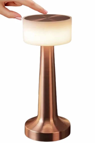 Dekoratif Masa Lambası Dokunmatik Renk Değiştirebilen Gece Lambası ürün görseli 1