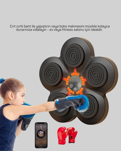 Müzikli Boks Duvar Paneli Akıllı Işık Sistemli Refleks ve Kondisyon Aleti - Resim 5