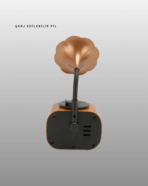 Kablosuz Retro Radyo Hoparlör 5W Güçlü Ses USB Hafıza Kart Destekli - Resim 3