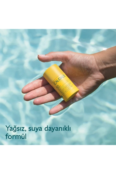Caudalie Vinosun Stick Güneş Kremi - Resim 3