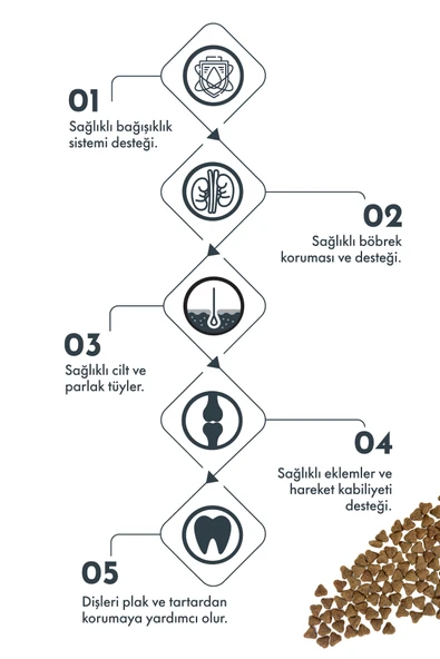 Pro Performance Kuzu Etli ve Yaban Mersinli Hipolaerjenik Küçük Irk Kısırlaştırılmış Köpek Maması  Yetişkin (1 - 7 Yaş) 7 Kg - Resim 3