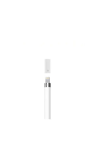 silabor Apple Pencil Kalem Şarj Adaptörü - Dişi Lightning to Lightning - Resim 3