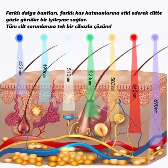 DailyTech Cilt Bakım Cihazı 7 Renk Işık Terapi Kızarıklık Akne Leke Karşıtı Yüz Gençleştirme Yenileme - Resim 5