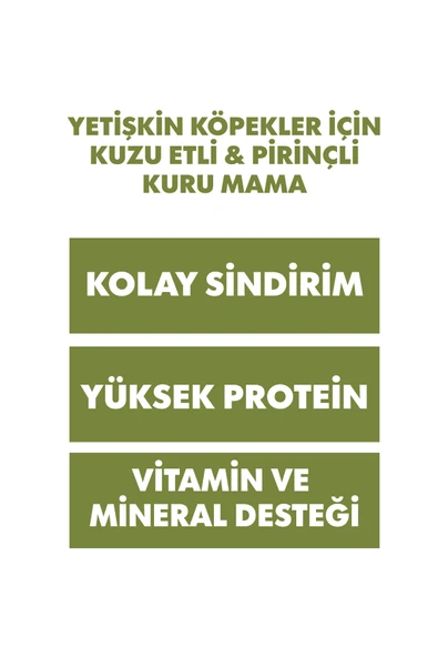Pro Performance Kuzu Etli ve Pirinçli Yetişkin Köpek Maması  Yetişkin (1 - 7 Yaş) 18 Kg - Resim 4