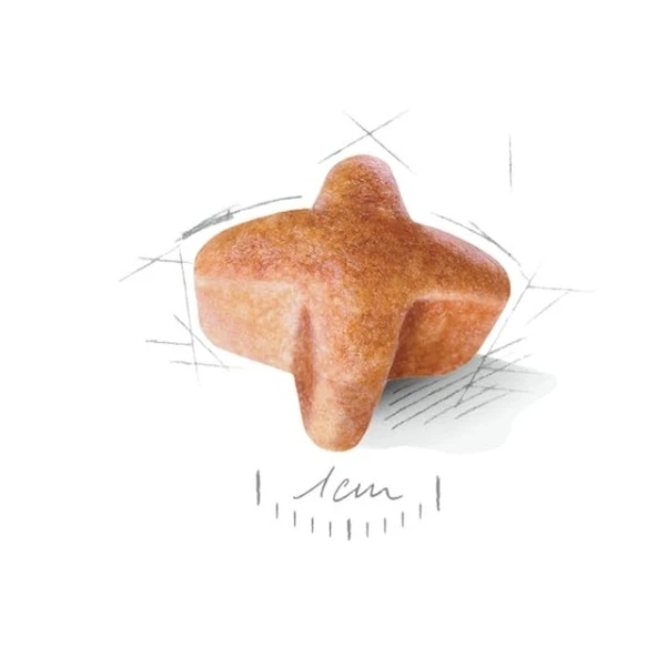 Royal Canin German Shepherd Adult Yetişkin Köpek Maması  Yetişkin (1 - 7 Yaş) 11 Kg - Resim 6