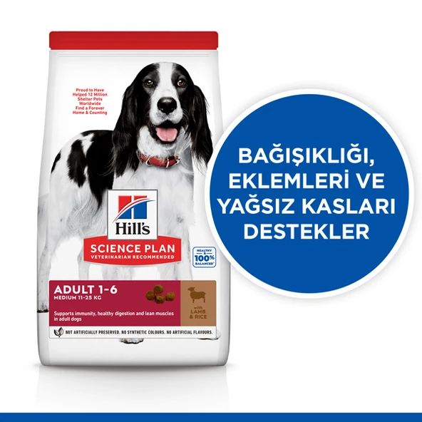 Hills Kuzu Etli Orta Irk Yetişkin Köpek Maması  12+2 Kg Hediyeli - Resim 2