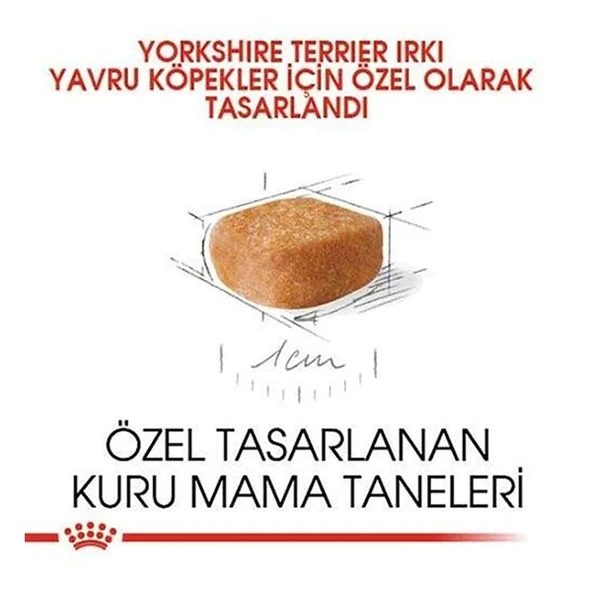 Royal Canin Yorkshire Terrier Junior Yavru Köpek Maması  0 - 1 Yaş 1.5 Kg - Resim 3