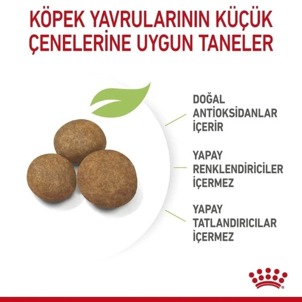 Royal Canin Maxi Puppy Büyük Irk Yavru Köpek Maması  15 Kg 0 - 1 Yaş - Resim 7