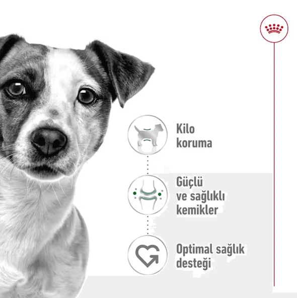 Royal Canin Mini Adult Küçük Irk Yetişkin Köpek Maması  Yetişkin (1 - 7 Yaş) 8 Kg - Resim 3