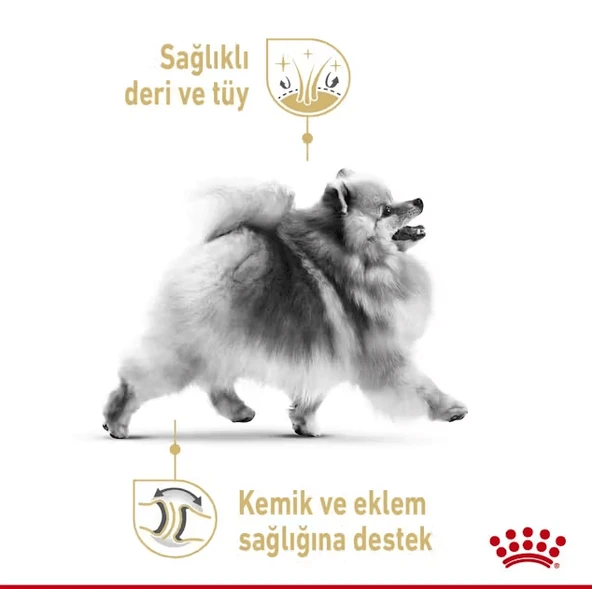 Royal Canin Pomeranian Yetişkin Köpek Maması 1.5 Kg + 2 Konserve Hediyeli  Yetişkin (1 - 7 Yaş) 1.5 Kg 2 Pouch Hediye - Resim 4