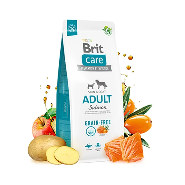 Brit Care Tahılsız Skin & Coat Somonlu Yetişkin Köpek Maması  12 Kg - Resim 2