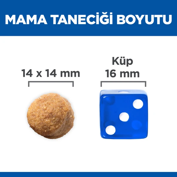 Hills Büyük Irk Kuzu Etli Yetişkin Köpek Maması  12+2 Kg Hediyeli - Resim 5