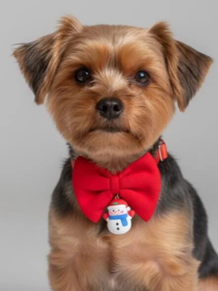 Snowman Küçük Irk Köpek Papyon Tasması | Kırmızı Fiyonk Boyun Aksesuarı | Noel Temalı Köpek Süsü ürün görseli 1