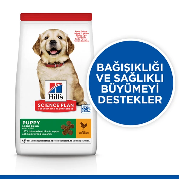 Hills Puppy Large Breed Tavuklu Büyük Irk Yavru Köpek Maması  14.5 Kg - Resim 2