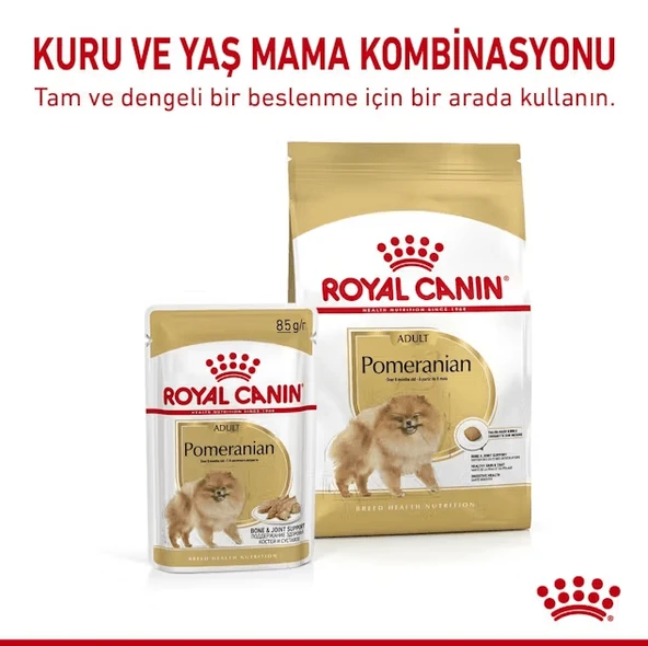 Royal Canin Pomeranian Yetişkin Köpek Maması 1.5 Kg + 2 Konserve Hediyeli  Yetişkin (1 - 7 Yaş) 1.5 Kg 2 Pouch Hediye - Resim 5