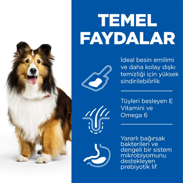 Hills Adult Sensitive Skin Hassas Köpekler İçin Tavuklu Yetişkin Köpek Maması  14 Kg - Resim 3