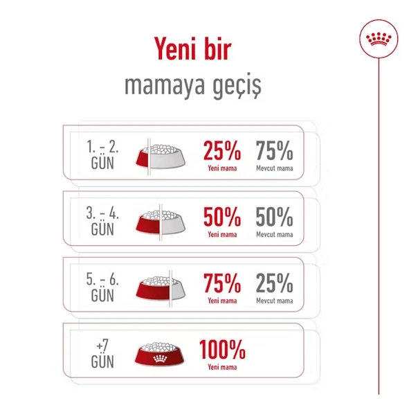 Royal Canin Mini Adult Küçük Irk Yetişkin Köpek Maması  Yetişkin (1 - 7 Yaş) 8 Kg - Resim 7