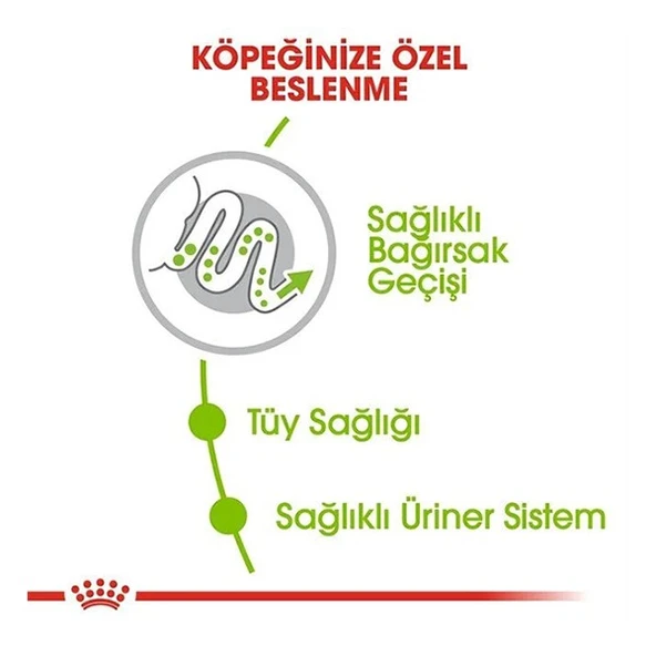 Royal Canin Xsmall Adult Yetişkin Köpek Maması  Yetişkin (1 - 7 Yaş) 1.5 Kg - Resim 4