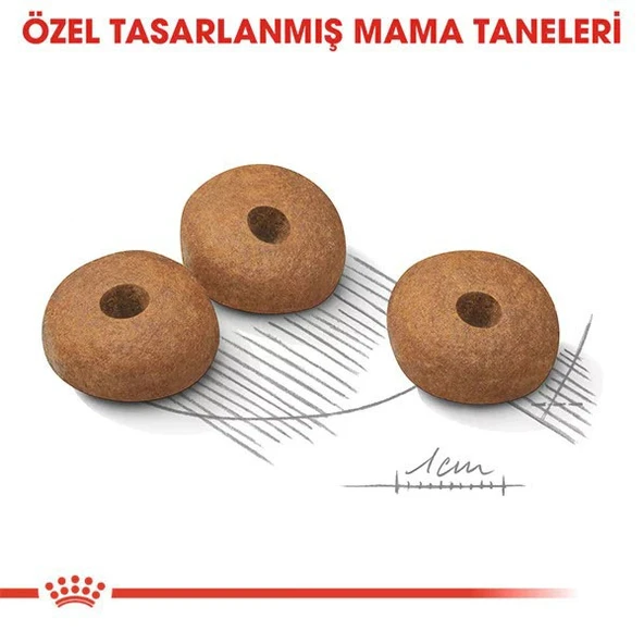 Royal Canin Mini Light Care Diyet Yetişkin Köpek Maması  Yetişkin (1 - 7 Yaş) 3 Kg - Resim 5