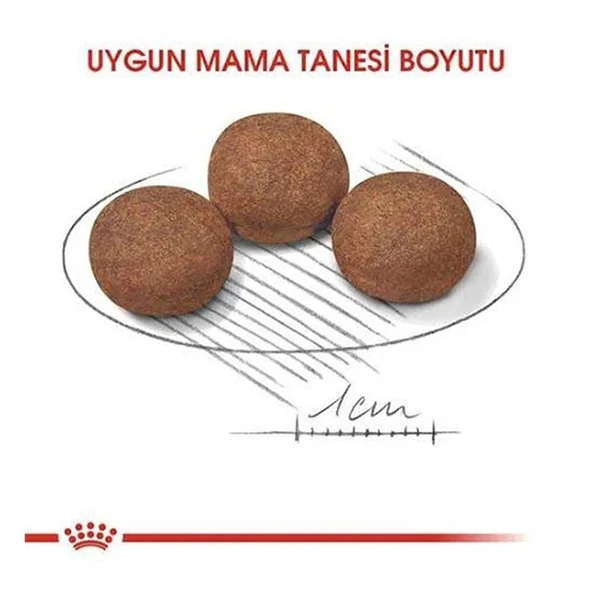 Royal Canin Medium Puppy Yavru Köpek Maması  0 - 1 Yaş 4 Kg - Resim 4