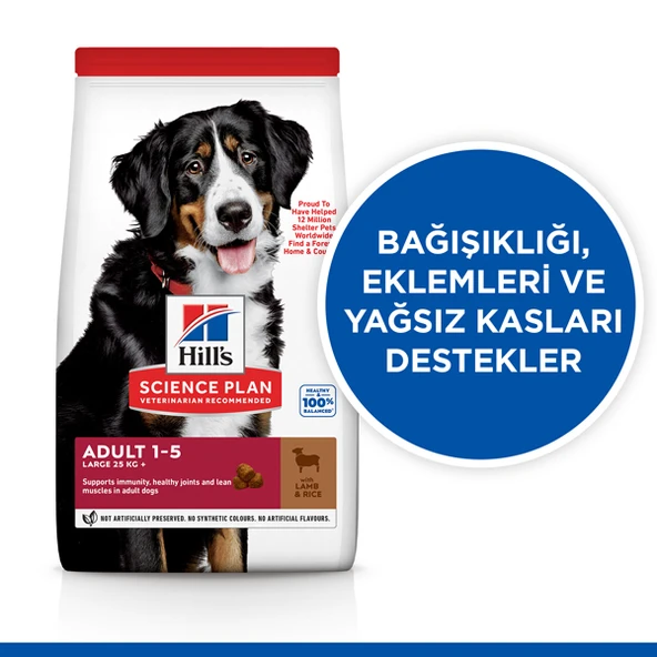 Hills Büyük Irk Kuzu Etli Yetişkin Köpek Maması  12+2 Kg Hediyeli - Resim 2