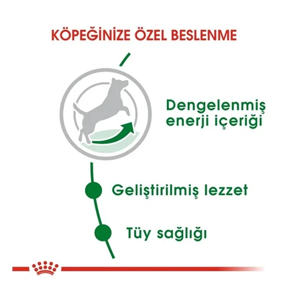 Royal Canin Mini Adult Küçük Irk Yetişkin Köpek Maması  Yetişkin (1 - 7 Yaş) 8 Kg - Resim 5
