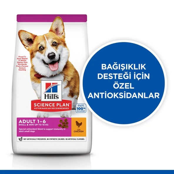 Hills Adult Small Miniature Tavuklu Küçük Irk Köpek Maması  3 Kg - Resim 2