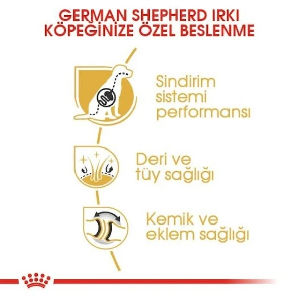 Royal Canin German Shepherd Adult Yetişkin Köpek Maması  Yetişkin (1 - 7 Yaş) 11 Kg - Resim 3