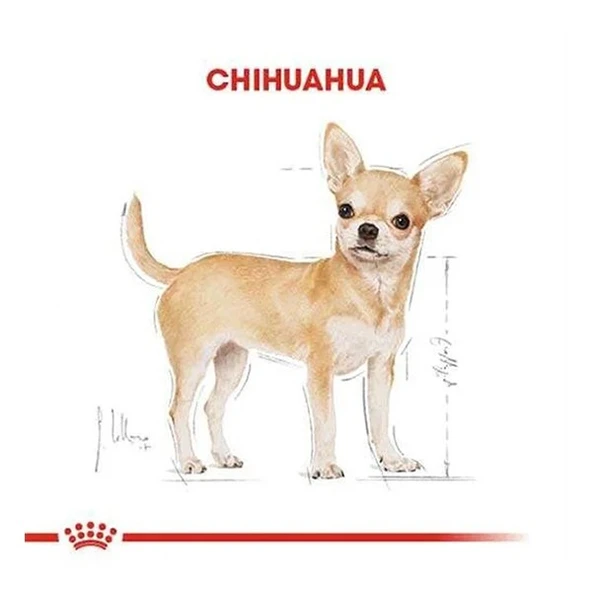 Royal Canin Chihuahua Adult Yetişkin Köpek Maması  Yetişkin (1 - 7 Yaş) 1.5 Kg - Resim 5