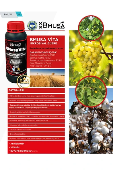 BMusa Vita Mikrobiyal Gübre 1 Litre - Resim 6