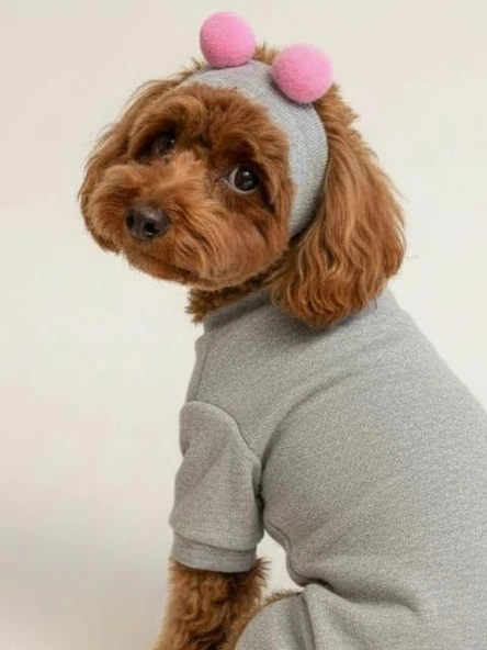 Ponpon Şeker Köpek Tulumu & Bere Takımı | Şardonlu Polar Kumaş | Küçük Irk Köpekler İçin | Tüy Dökülmesini Azaltır - Resim 7