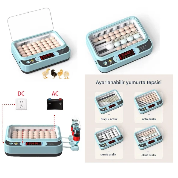 Yate10 40-60 Yumurta Tam Otomatik Kuluçka Makinası - Resim 5