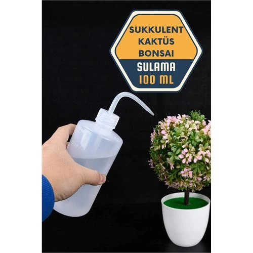 Sukkulent Kaktüs Bonsai Sulama Şişesi ürün görseli 1