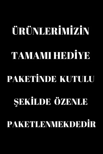 Amisare Mıknatıslı Hakiki Deri Erkek Bileklik - Resim 2