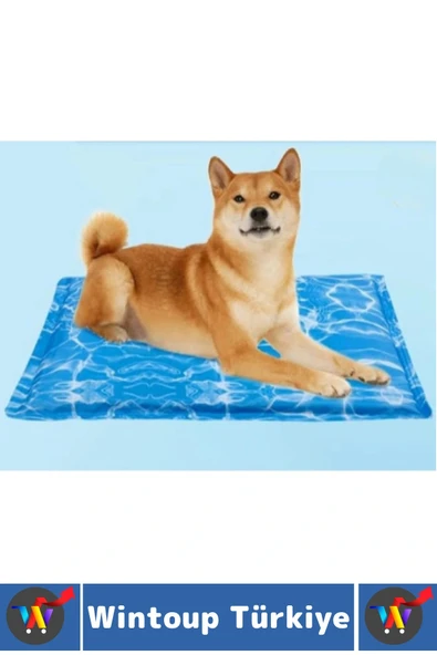 Evcil Hayvan Kolay Temizlenir Hafif Kaymaz Özel Jel Dolgulu Kedi Köpek Soğutucu Yatak Mat 50 X 65 Cm - Resim 2